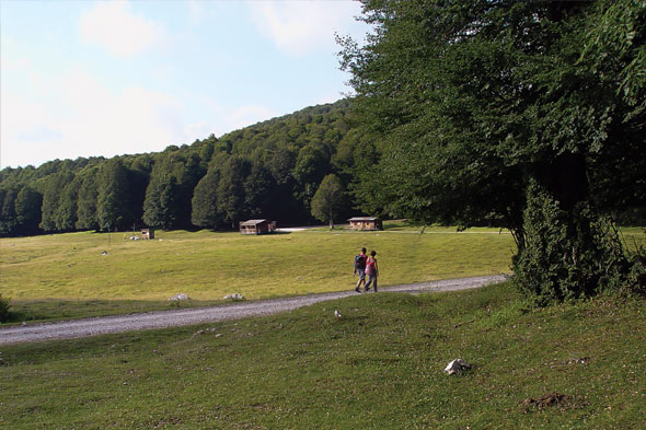 Camping Le Foci - Opi